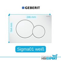 Geberit Vorwandelement Sigma + Geberit iCon WC spülrandlos + Drückerplatte + WC-Sitz + Anschlussset