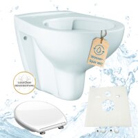 Grohe Design Keramik WC Spülrandlos inkl. Deckel mit Absenkautomatik