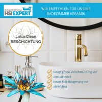 Villeroy & Boch Venticello WC, DirectFlush, Spülrandlos + Beschichtung